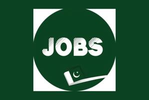 Punjab University Announces Jobs